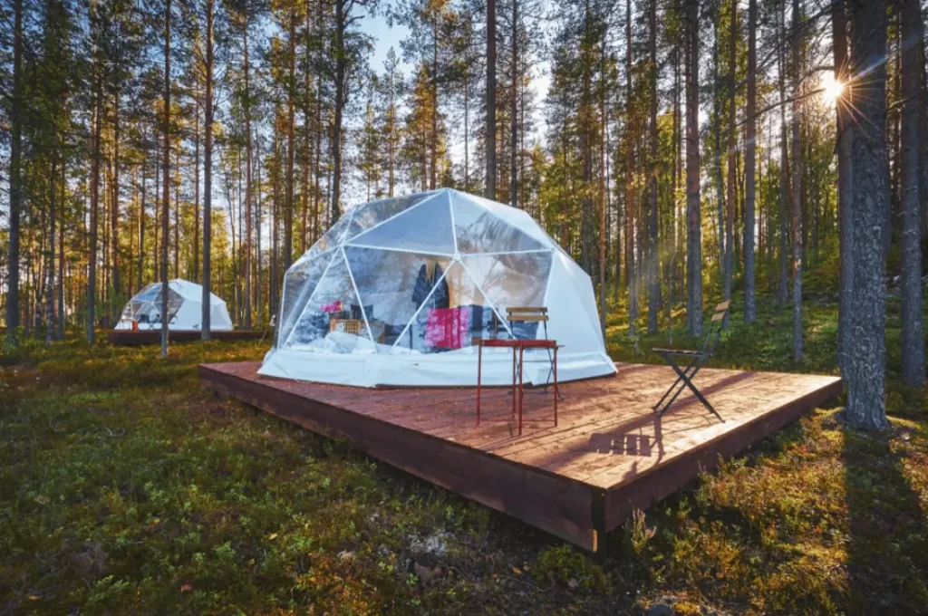 A transparent cabin in the woods.