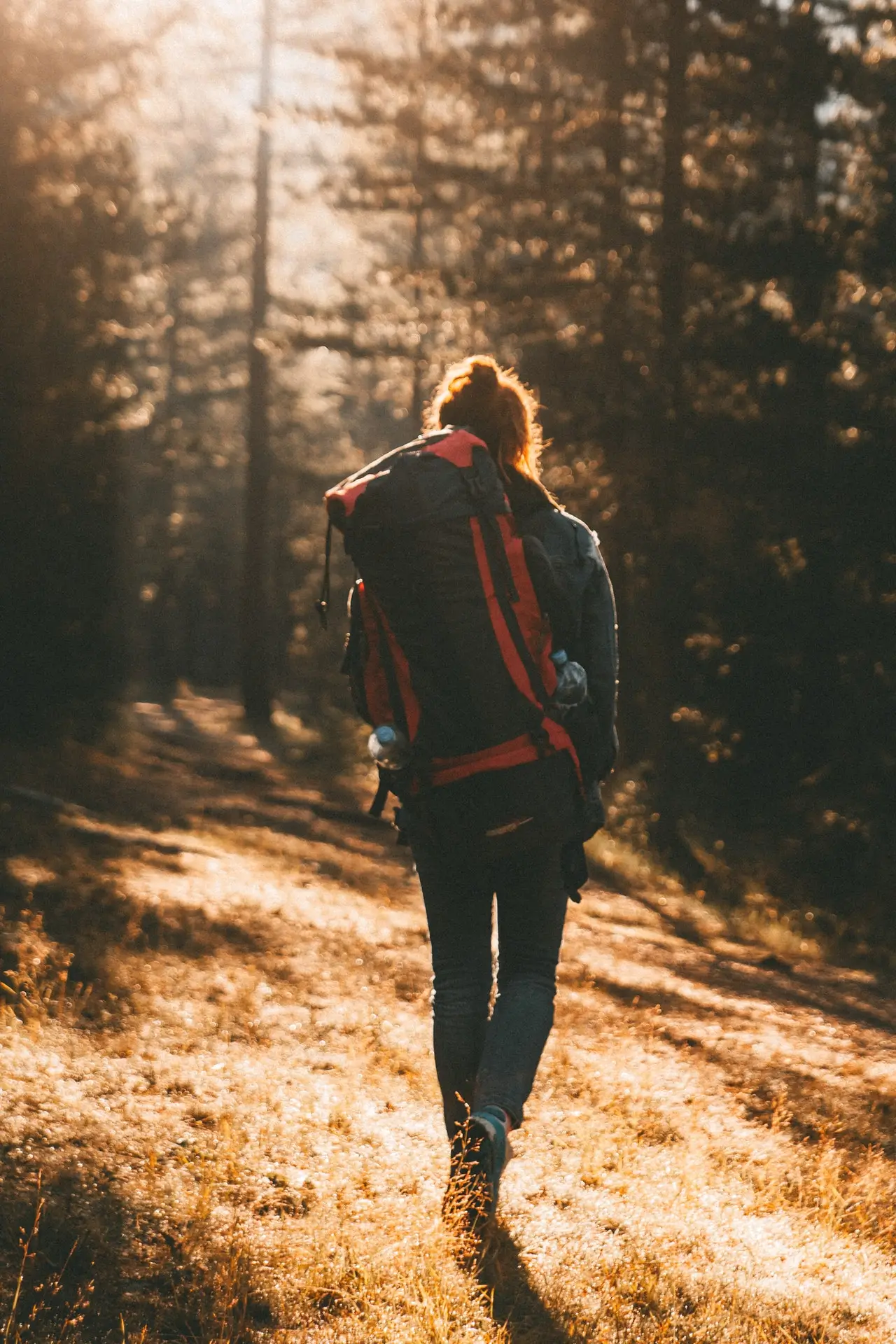 Read more about the article Finding Direction in Nature Using Basic Techniques