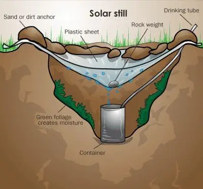 To find water in nature, solar still.