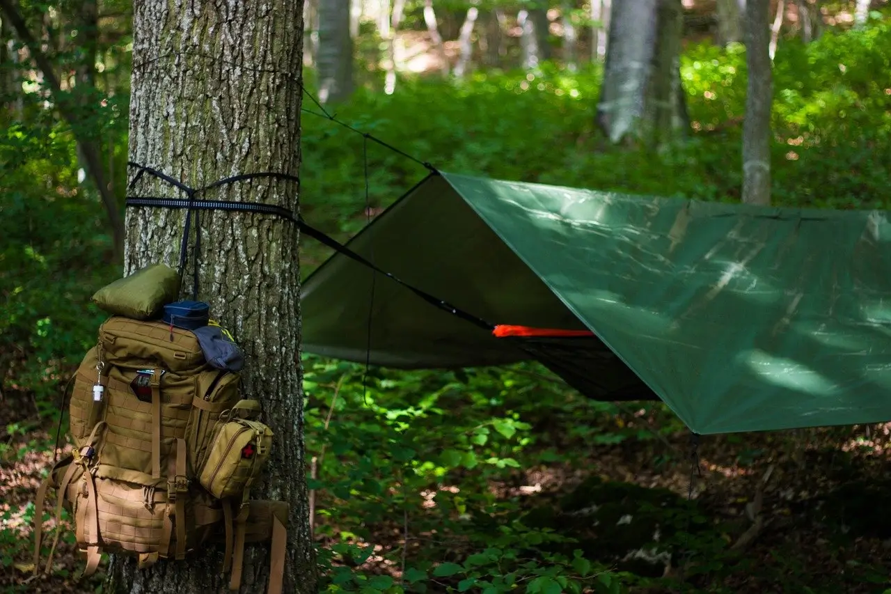 Read more about the article Bushcraft, Skills to Survive